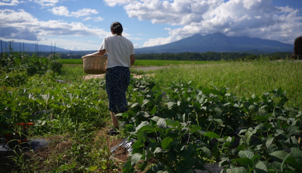 山梨県 北杜市で農地を借りる方法をまとめてみた（家庭菜園レベルもOK 