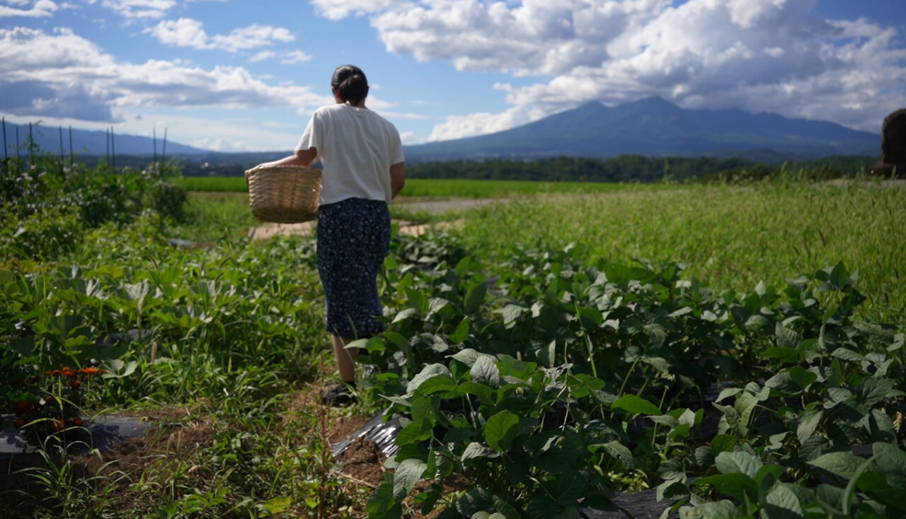 山梨県 北杜市で農地を借りる方法をまとめてみた（家庭菜園レベルもOK 